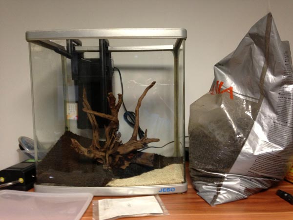 魚缸加泥沙效果圖